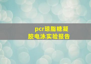 pcr琼脂糖凝胶电泳实验报告