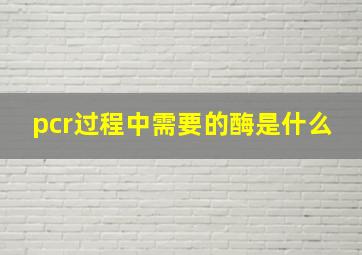 pcr过程中需要的酶是什么