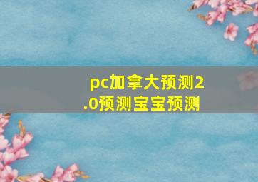 pc加拿大预测2.0预测宝宝预测