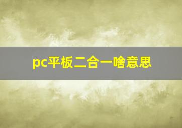 pc平板二合一啥意思