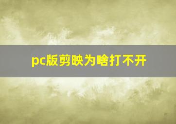 pc版剪映为啥打不开