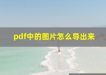 pdf中的图片怎么导出来