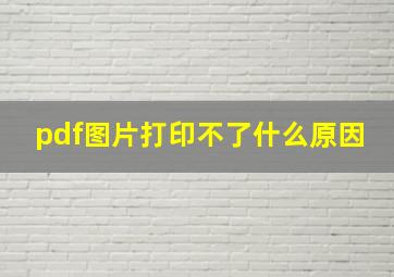 pdf图片打印不了什么原因