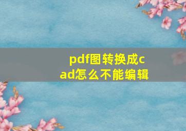 pdf图转换成cad怎么不能编辑