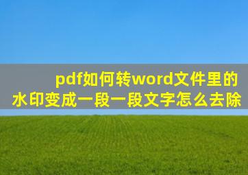 pdf如何转word文件里的水印变成一段一段文字怎么去除