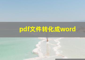 pdf文件转化成word