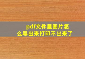 pdf文件里图片怎么导出来打印不出来了