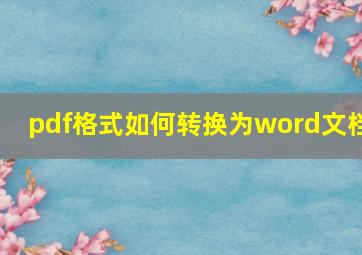 pdf格式如何转换为word文档