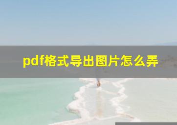 pdf格式导出图片怎么弄