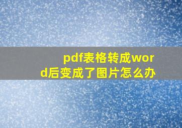 pdf表格转成word后变成了图片怎么办