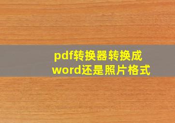 pdf转换器转换成word还是照片格式