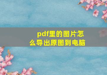 pdf里的图片怎么导出原图到电脑