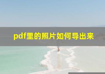 pdf里的照片如何导出来