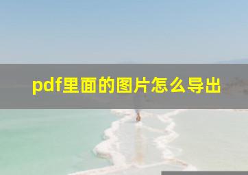 pdf里面的图片怎么导出