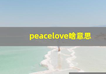 peacelove啥意思