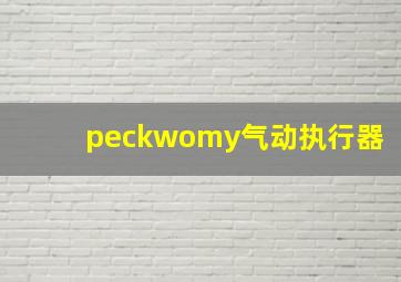 peckwomy气动执行器