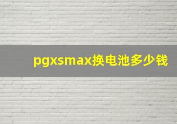 pgxsmax换电池多少钱