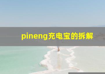 pineng充电宝的拆解