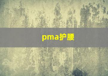 pma护腰