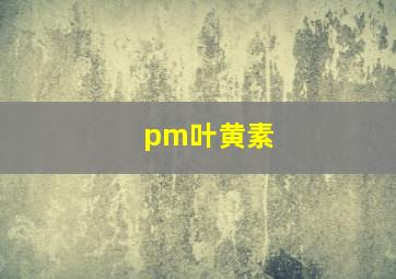 pm叶黄素