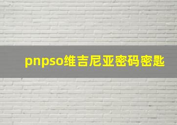 pnpso维吉尼亚密码密匙