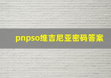 pnpso维吉尼亚密码答案