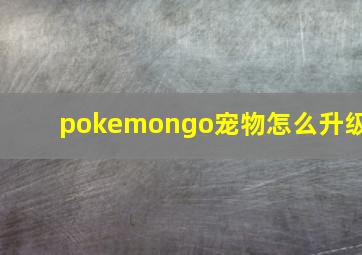 pokemongo宠物怎么升级