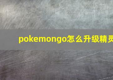 pokemongo怎么升级精灵