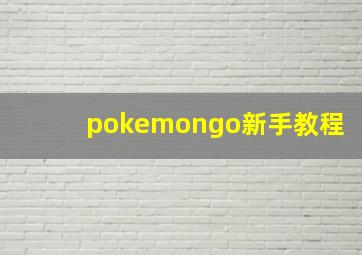 pokemongo新手教程