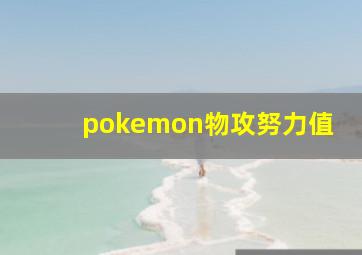 pokemon物攻努力值