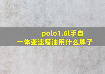 polo1.6l手自一体变速箱油用什么牌子