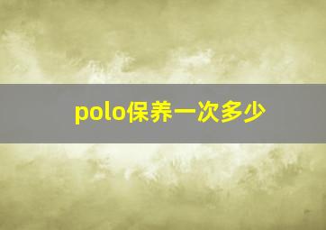 polo保养一次多少