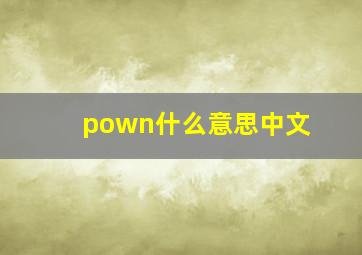 pown什么意思中文