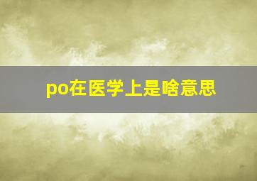 po在医学上是啥意思