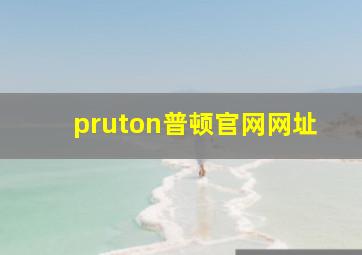 pruton普顿官网网址