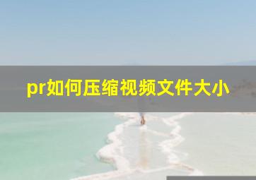 pr如何压缩视频文件大小