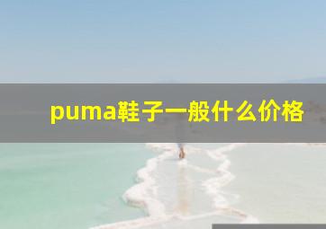 puma鞋子一般什么价格