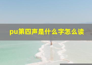 pu第四声是什么字怎么读