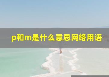 p和m是什么意思网络用语