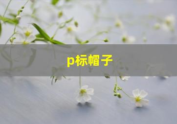 p标帽子