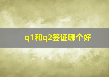 q1和q2签证哪个好