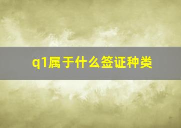 q1属于什么签证种类