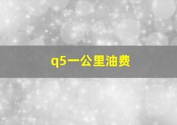 q5一公里油费