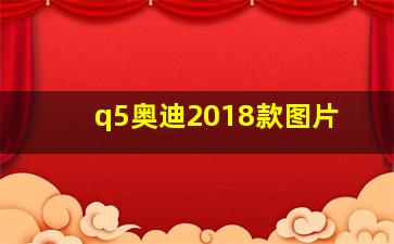 q5奥迪2018款图片