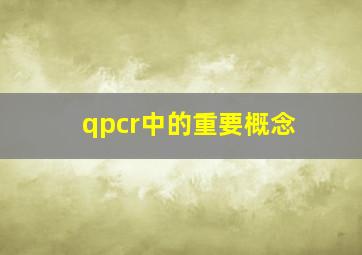 qpcr中的重要概念