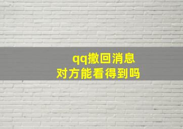 qq撤回消息对方能看得到吗