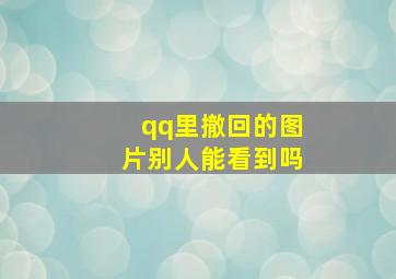 qq里撤回的图片别人能看到吗