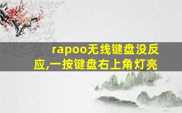 rapoo无线键盘没反应,一按键盘右上角灯亮