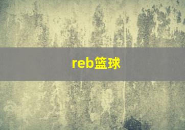 reb篮球