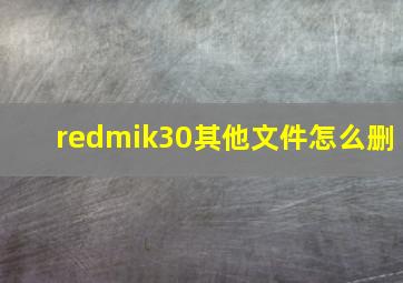 redmik30其他文件怎么删